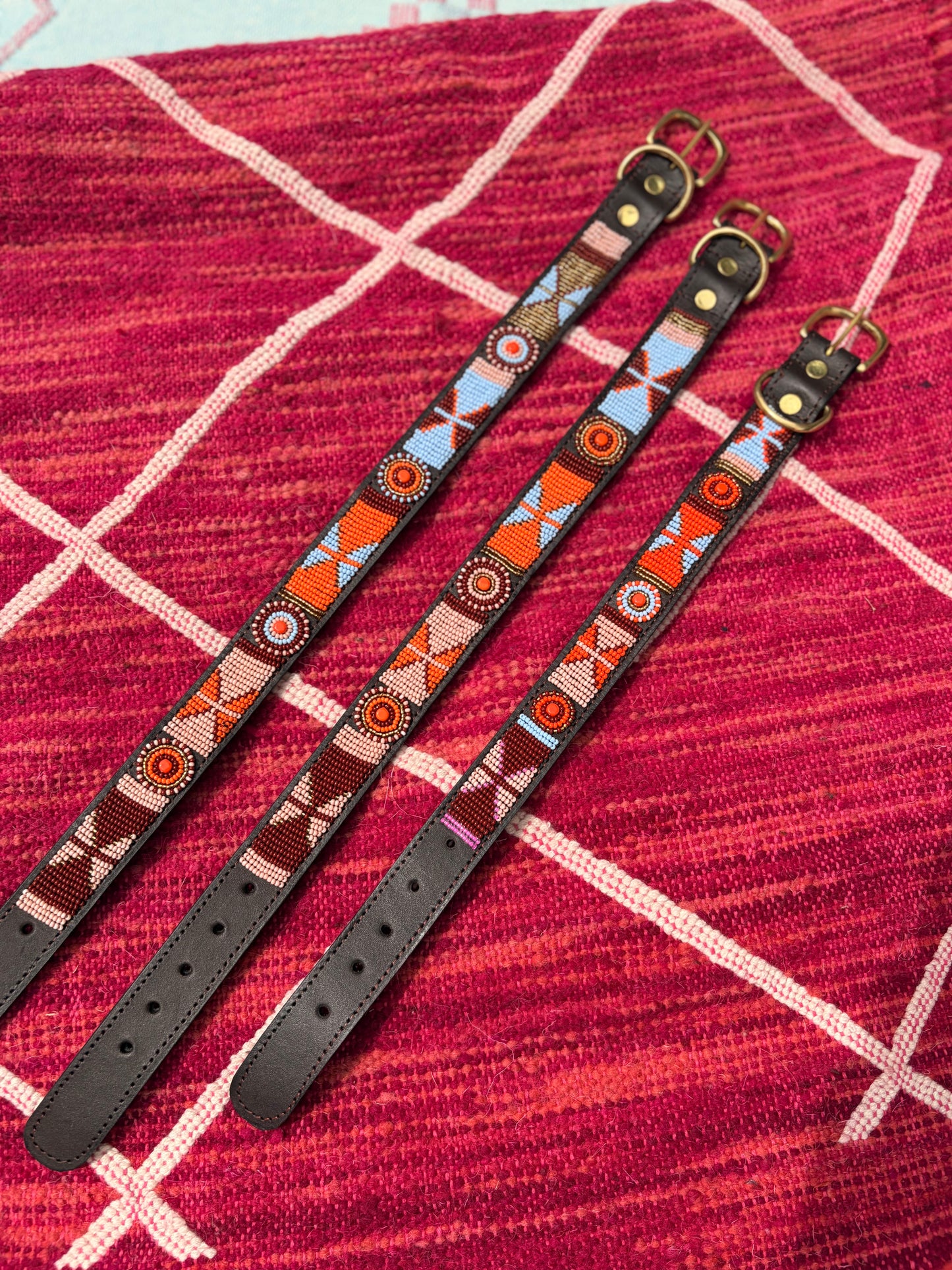 Sunburst Beaded Handcrafted Dog Collar