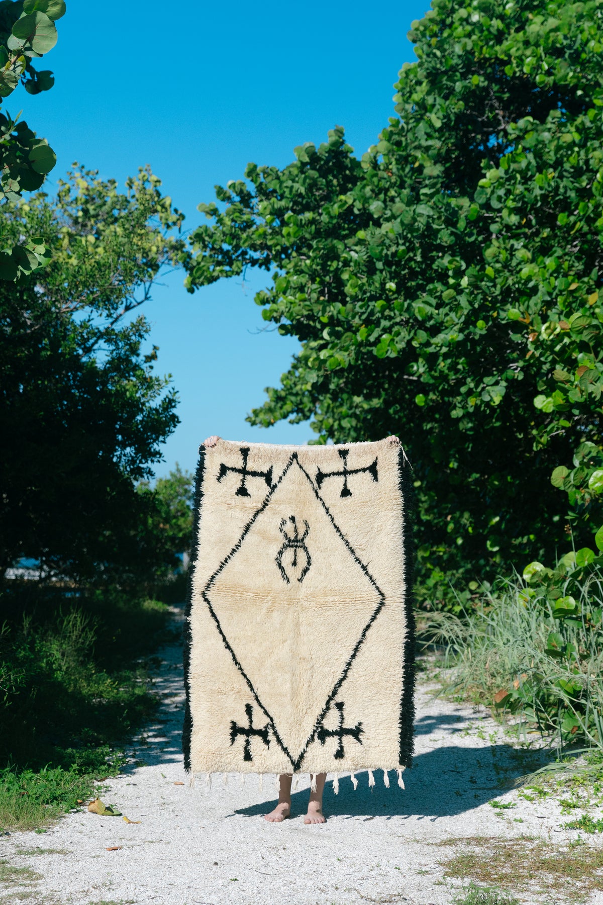 Vintage Berber Rug Parisian Style| High Atlas Mountains, Morocco