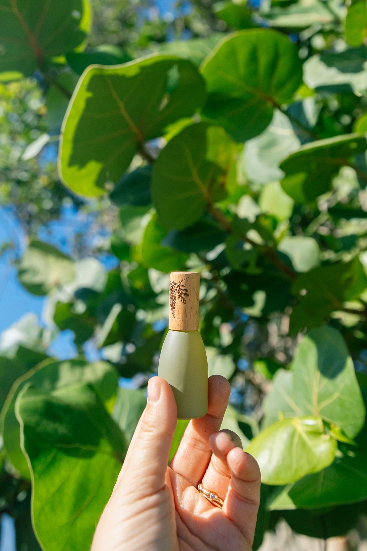 Wisteria Perfume Roller