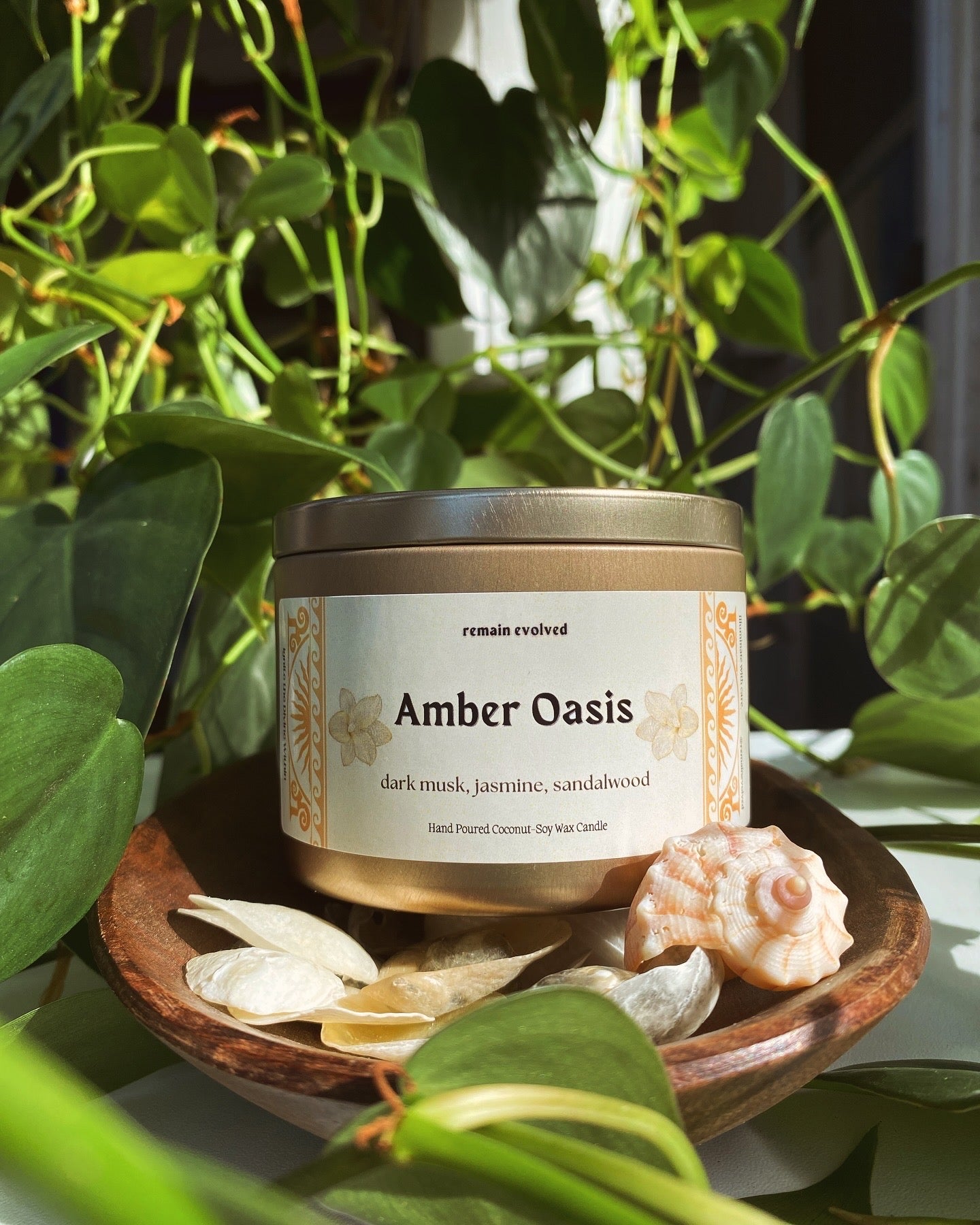 Amber Oasis